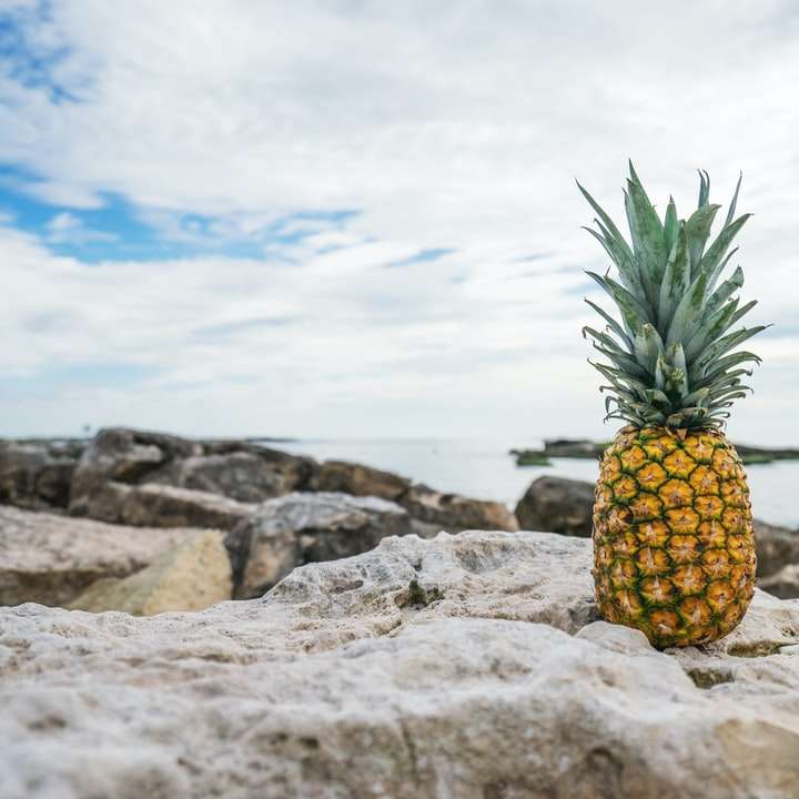 abacaxi em uma rocha puzzle deslizante online