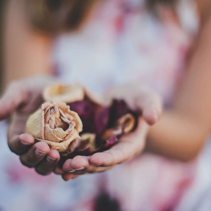 selective focus photography of a girl holding flowers sliding puzzle online