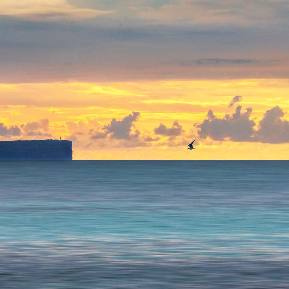 silueta ptáků letících nad mořem při západu slunce online puzzle