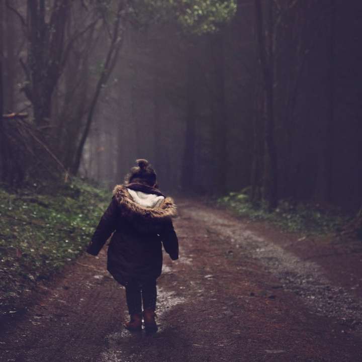 Ένα μικρό κορίτσι που περπατά κατά μήκος ενός μονοπατιού. συρόμενο παζλ online
