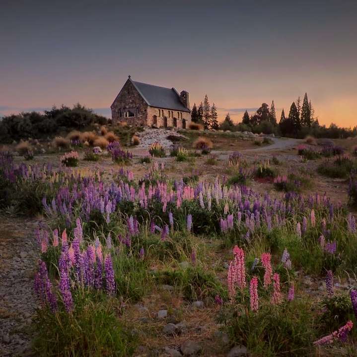 landskapsfotografering av huset mellan blommor Pussel online