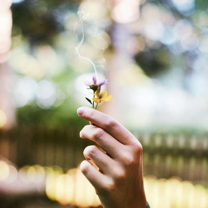 Курящие цветы онлайн-пазл