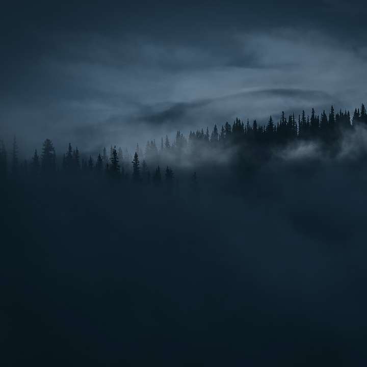 Ridgeline attraverso la nebbia. puzzle scorrevole online