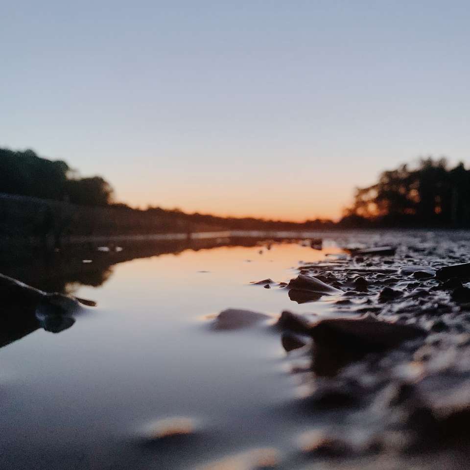 Gewässer in der Nähe von Bäumen während des Sonnenuntergangs Online-Puzzle