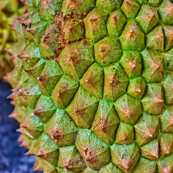 Durián gyümölcs csúszó puzzle online