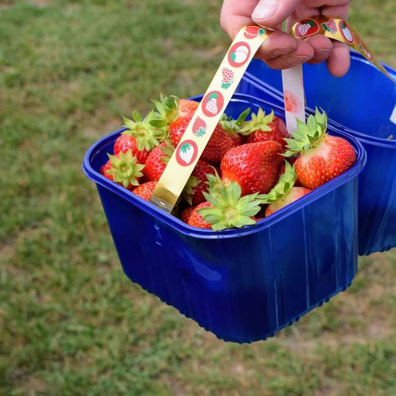 φράουλες σε κουβά online παζλ