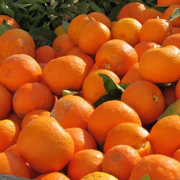 monte de frutas laranja na superfície preta puzzle online