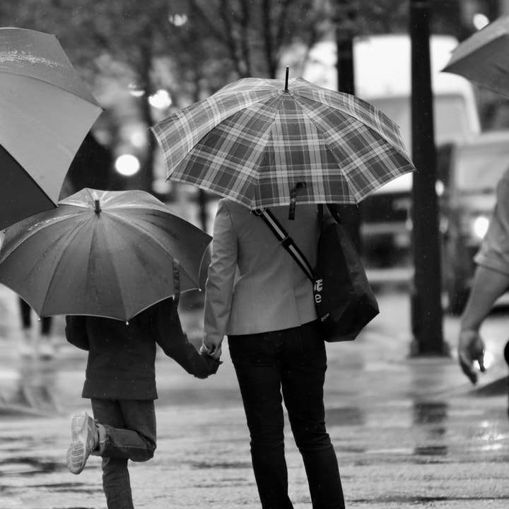 Días de lluvia en Vancouver rompecabezas en línea