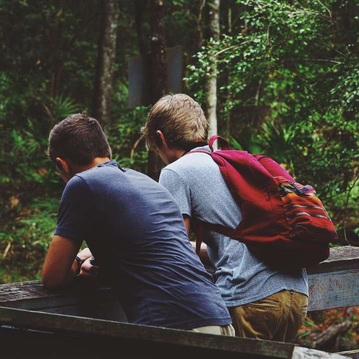 Vrienden dichtbij een bos schuifpuzzel online
