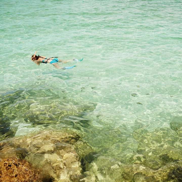 Snorkelen in Jamaica. online puzzel