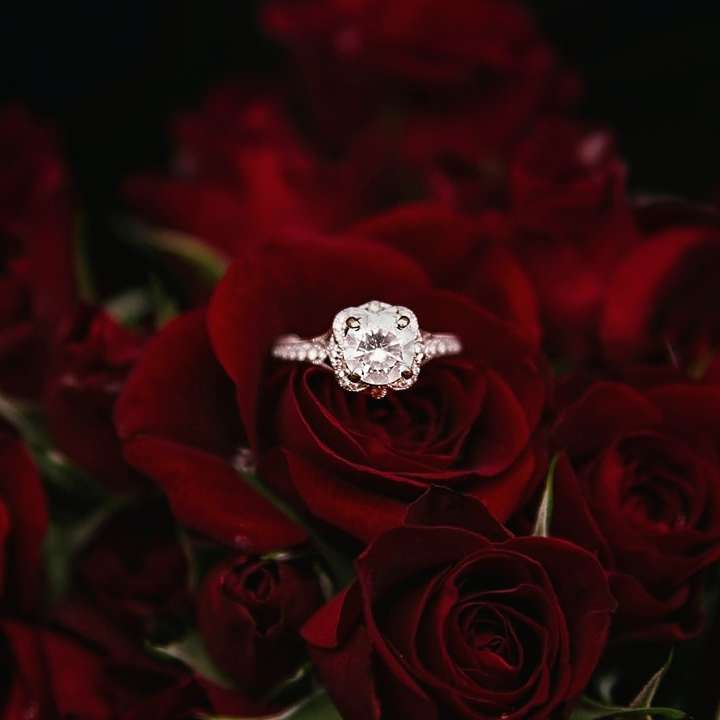 ασημένιο δαχτυλίδι πάνω από κόκκινα τριαντάφυλλα online παζλ