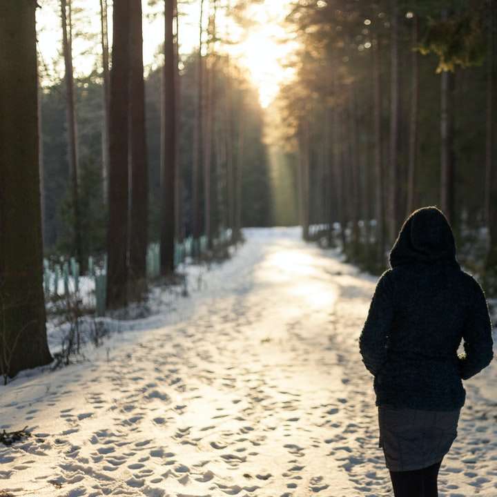 woman walking on snowfield pathway online puzzle