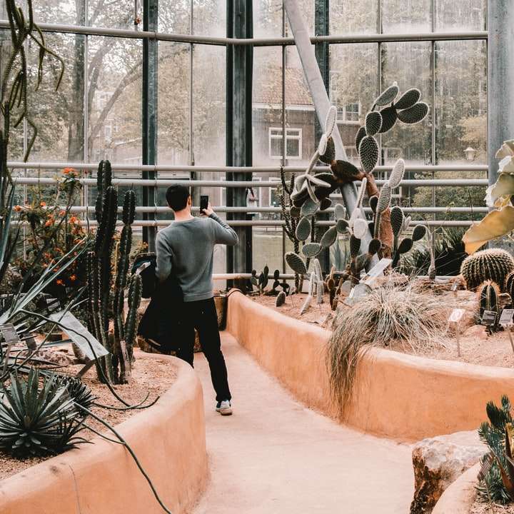 ботаническа градина плъзгащ се пъзел онлайн