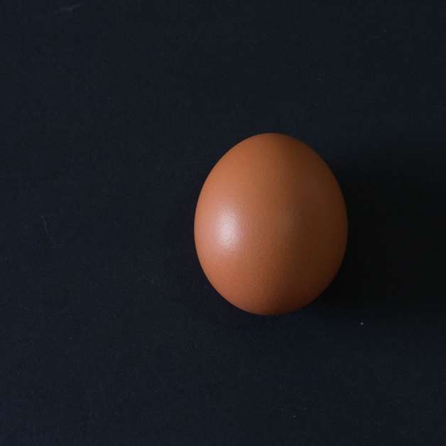 Коричне яйце розсувний пазл онлайн