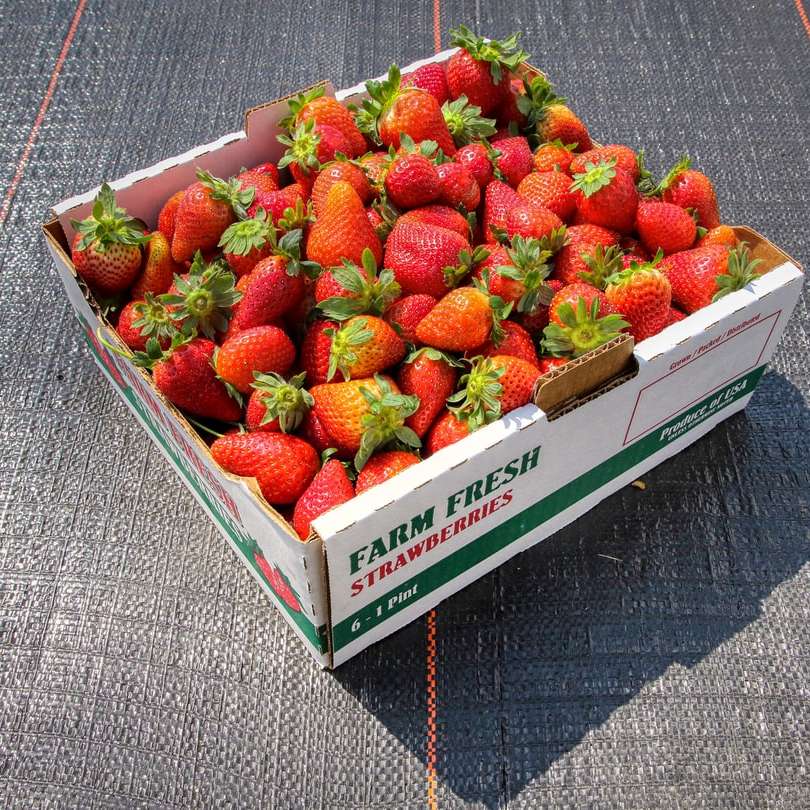 căpșuni în cutie albă și verde alunecare puzzle online