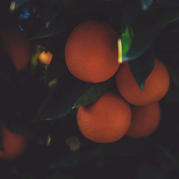 Naranjas alunecare puzzle online