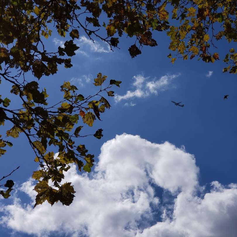 biała chmura cumulusów puzzle przesuwne online