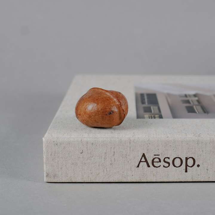 Βιβλίο Aesop online παζλ