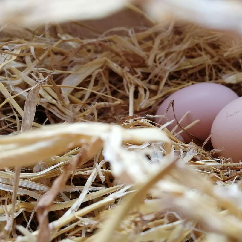 δύο λευκά αυγά συρόμενο παζλ online