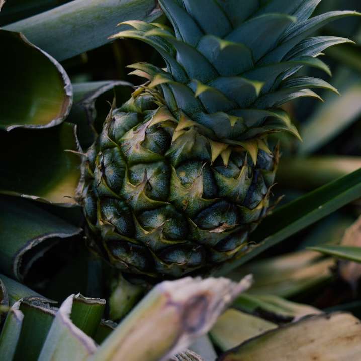 зелений ананас розсувний пазл онлайн