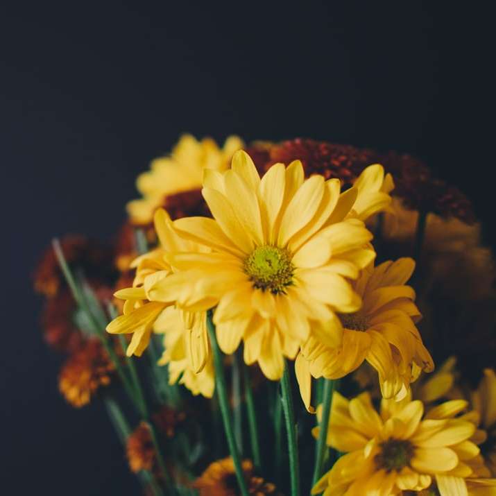 желтые цветы с лепестками раздвижная головоломка онлайн