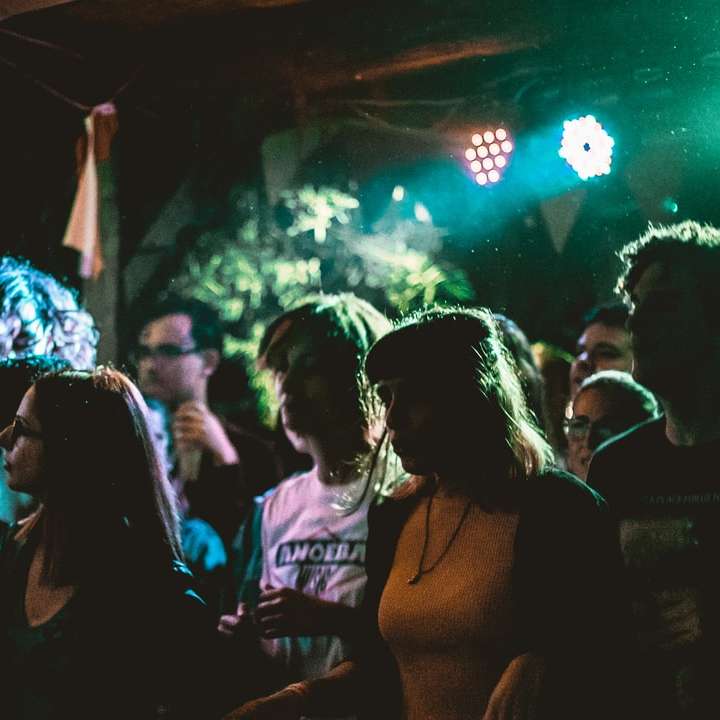 oameni din interiorul clubului cu lumini de discotecă puzzle online