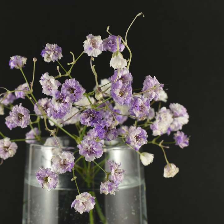 fioletowo-białe kwiaty w przezroczystym szklanym słoju puzzle przesuwne online