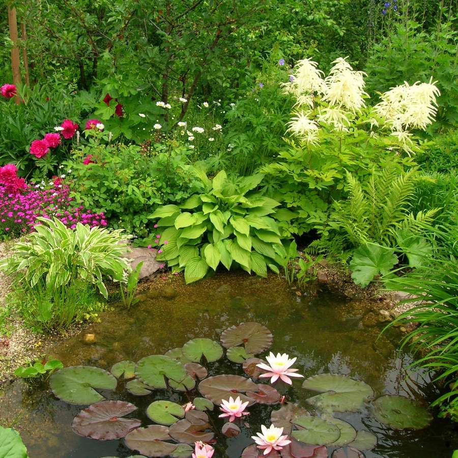 grădină de flori lângă lac alunecare puzzle online