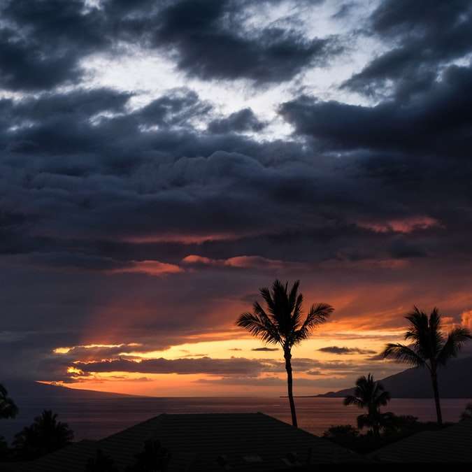 Molnig solnedgång över palmerna glidande pussel online