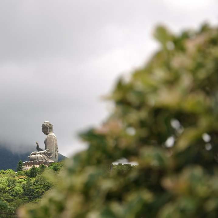 Големият Буда плъзгащ се пъзел онлайн