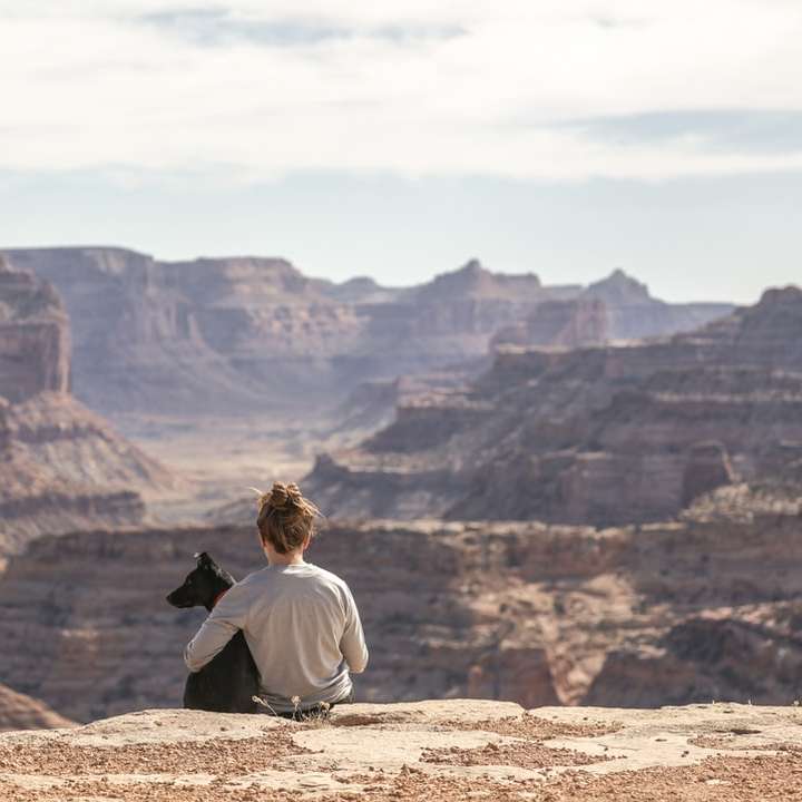 osoba se psem sedí na útesu Grand Canyon online puzzle