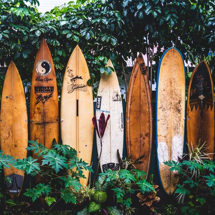 Surfboard Fence. online puzzle