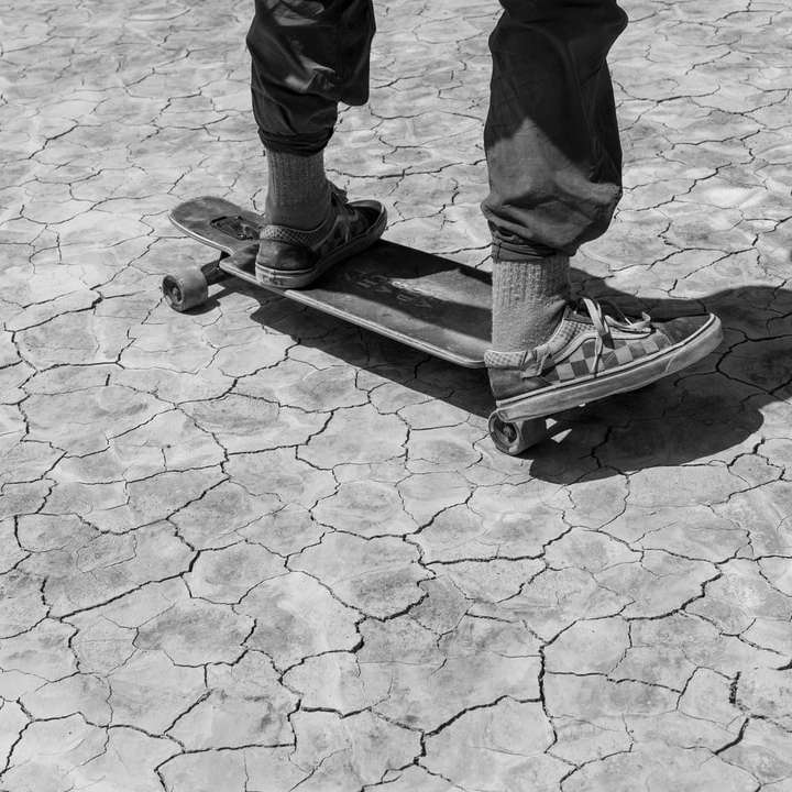 Скейтборд на сухому дні озера онлайн пазл