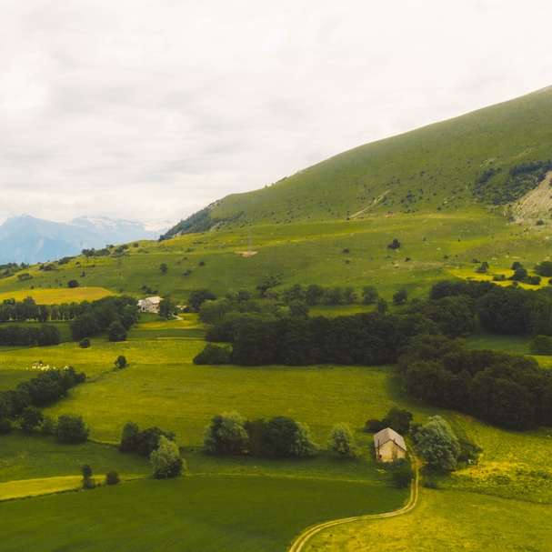 câmp de iarbă verde lângă munte în timpul zilei alunecare puzzle online