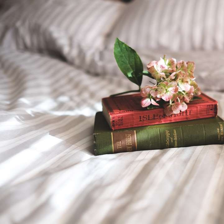 δύο βιβλία στο κρεβάτι συρόμενο παζλ online