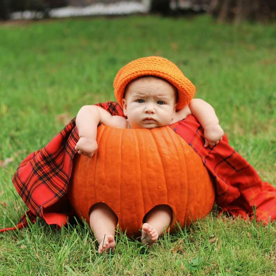 Baby in a pumpkin sliding puzzle online