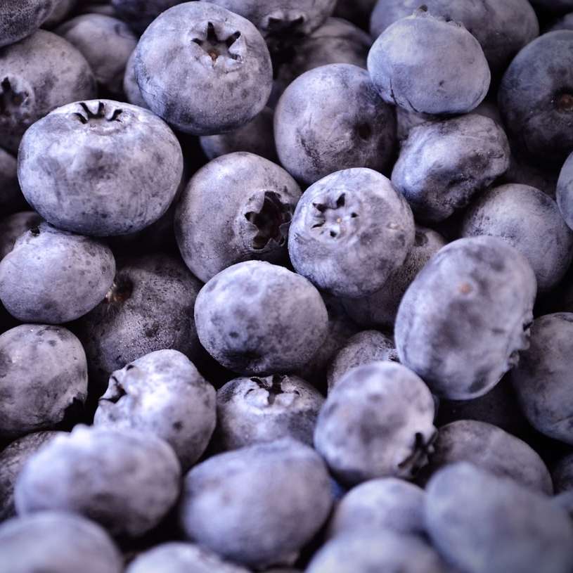 fresh blueberries online puzzle