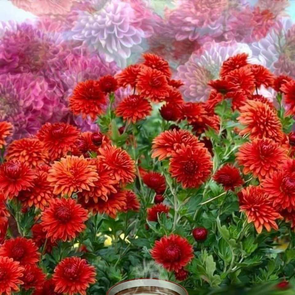 chrysanthemums and a cup of coffee online puzzle