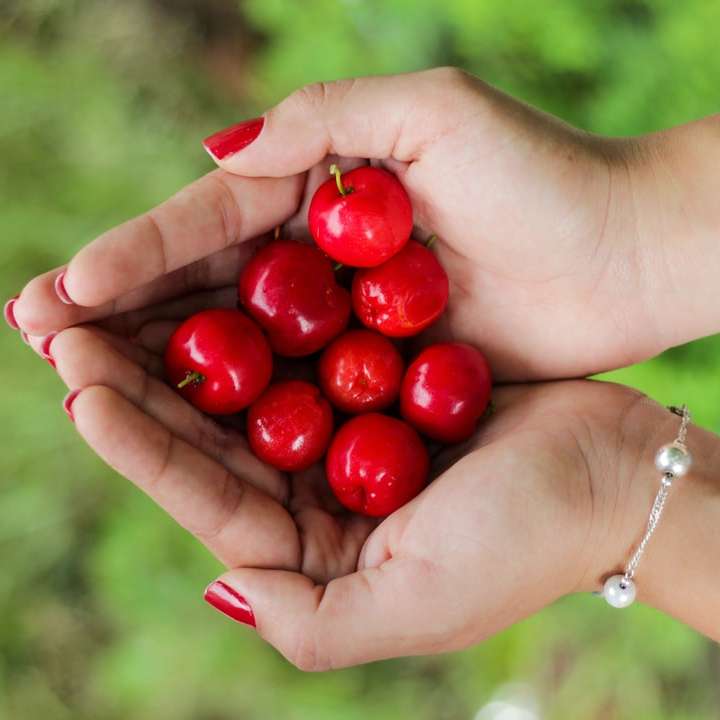 червени плодове на ръцете на човек плъзгащ се пъзел онлайн