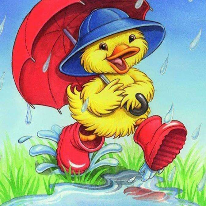 fröhliche Ente im Regen Schiebepuzzle online
