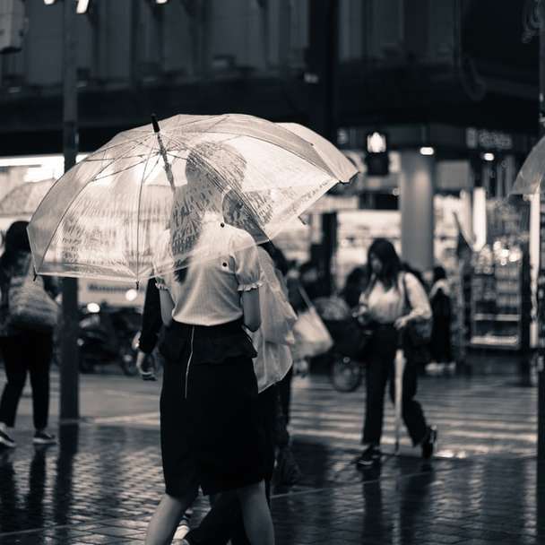 Giornata di pioggia a Osaka puzzle scorrevole online