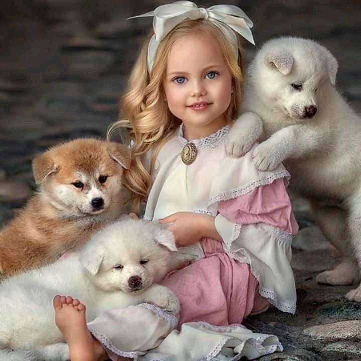 girl with puppies sliding puzzle online