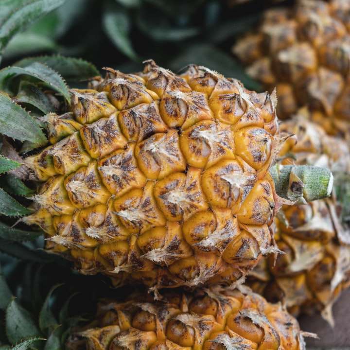 yellow and green pineapple fruit online puzzle
