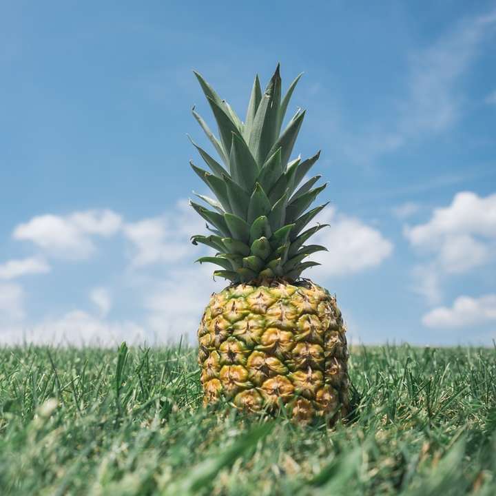 pineapple on grass sliding puzzle online