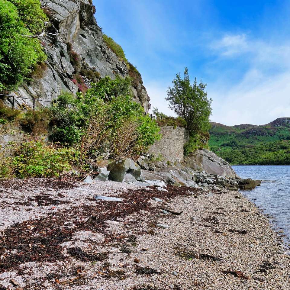 Image from the Cowal Peninsula, Scotland online puzzle