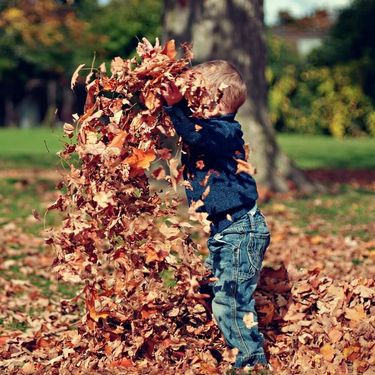 Листья в воздухе онлайн-пазл