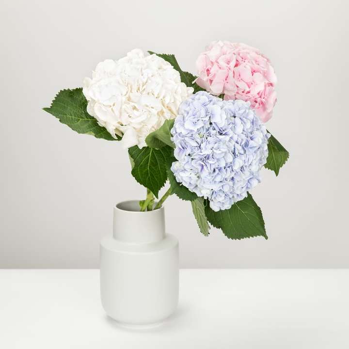 Βάζο με λουλούδια συρόμενο παζλ online
