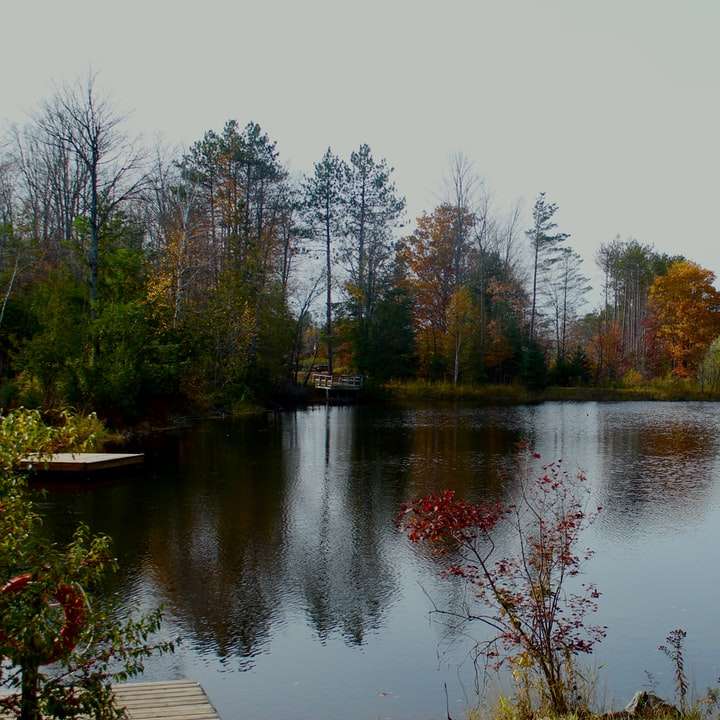 Lago tranquilo en otoño rompecabezas en línea