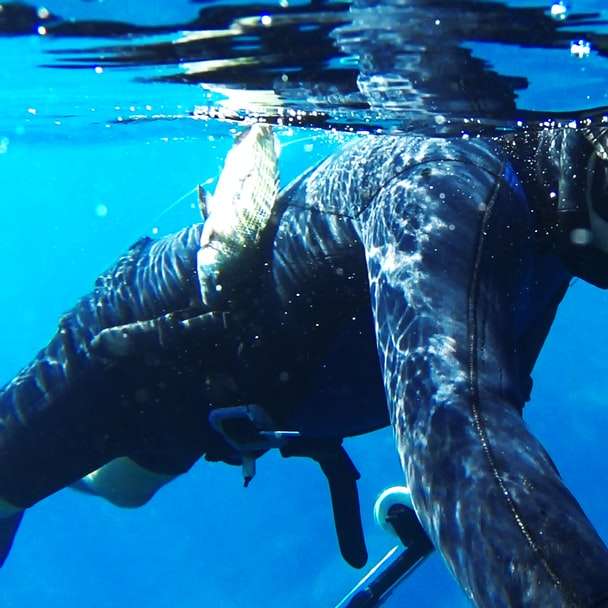 Підводне полювання від батька до сина! розсувний пазл онлайн