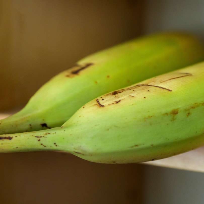 żółty owoc banana na białym stole puzzle przesuwne online